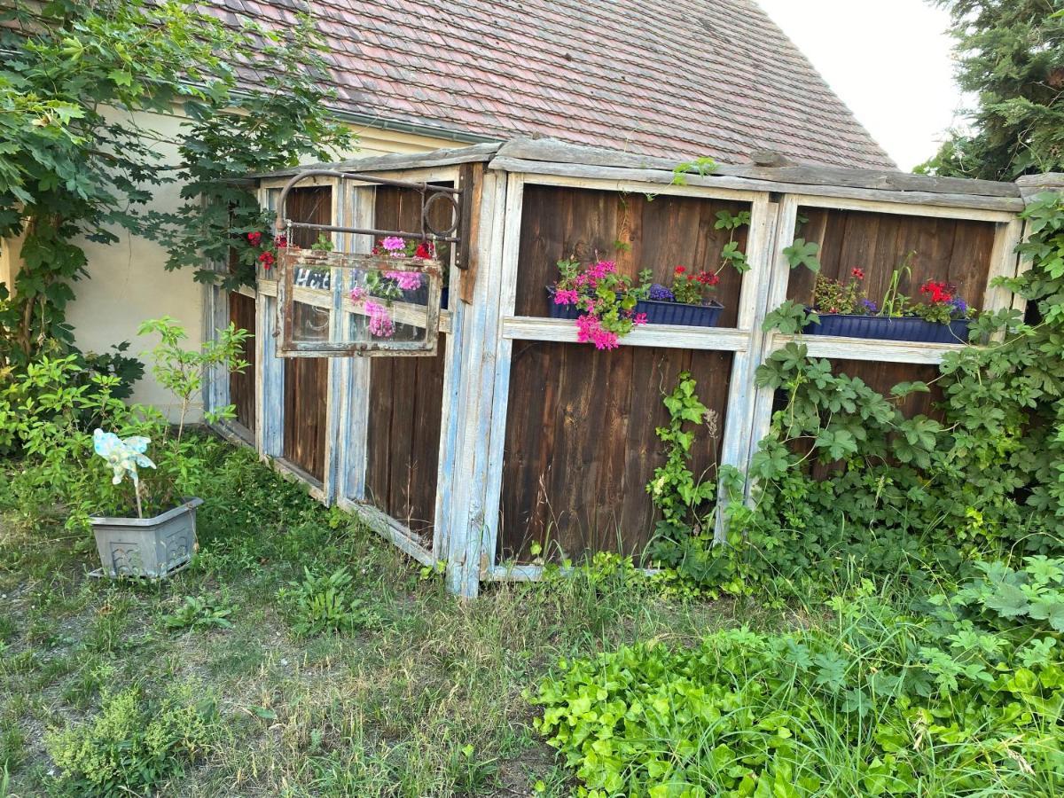 Ostsee Radlerpension Peitz Esterno foto